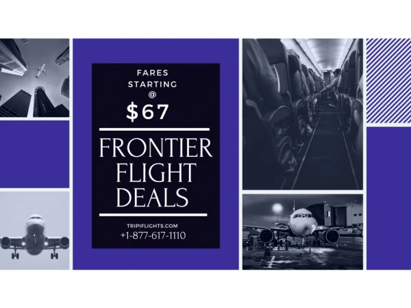 Grab the Best Deals | Frontier Airlines Flights Deals | Tripiflights