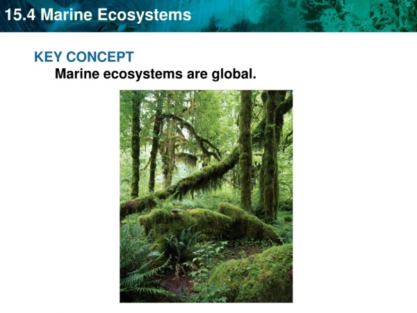 KEY CONCEPT Marine ecosystems are global.