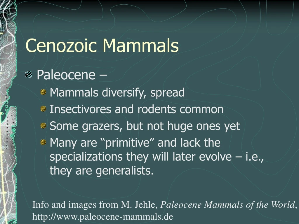 cenozoic mammals