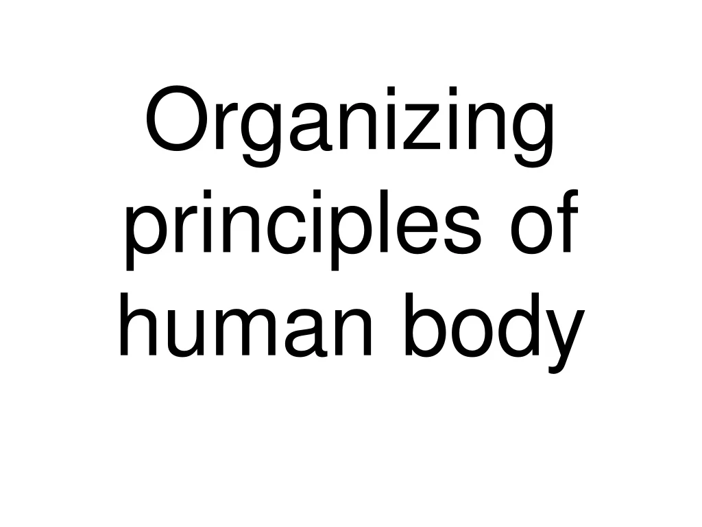 organizing principles of human body