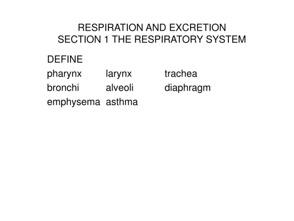 RESPIRATION AND EXCRETION SECTION 1 THE RESPIRATORY SYSTEM