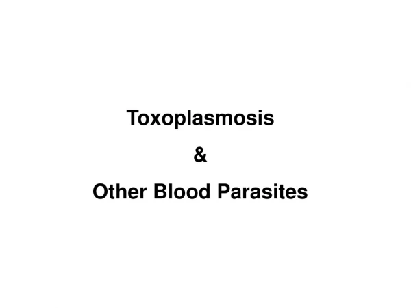Toxoplasmosis &amp; Other Blood Parasites