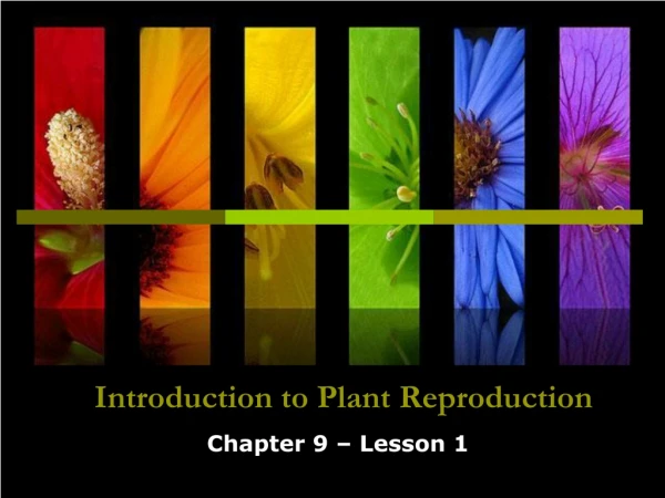 Introduction to Plant Reproduction