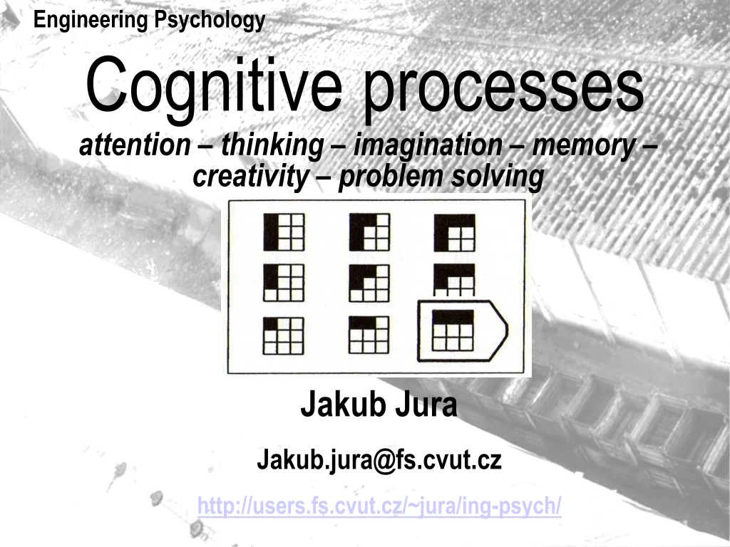 cognitive processes