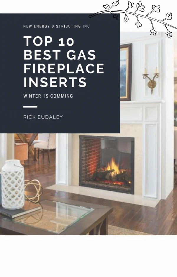 Top 10 Best Gas Fireplace Inserts of 2019