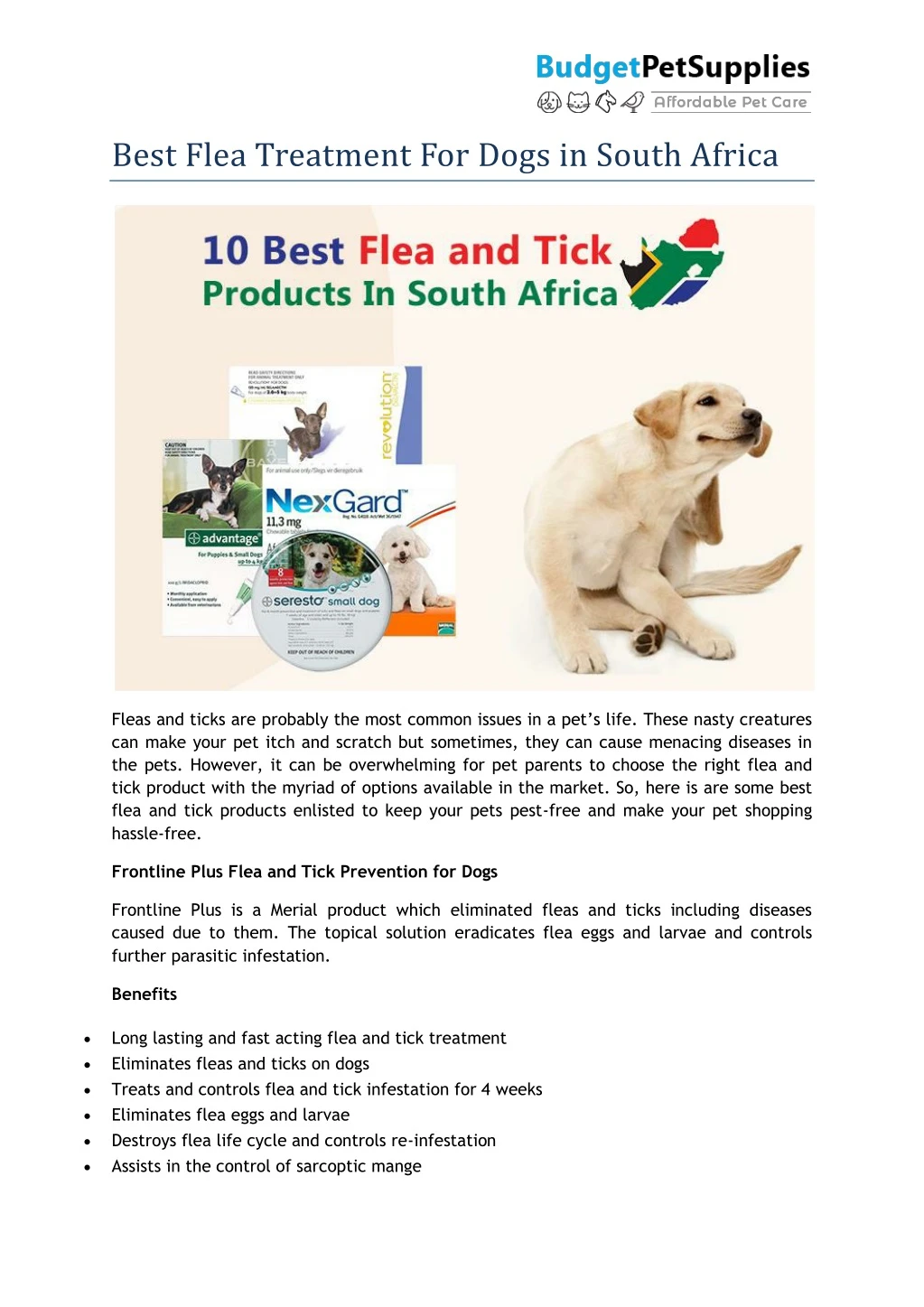 best flea treatment for dogs in south africa