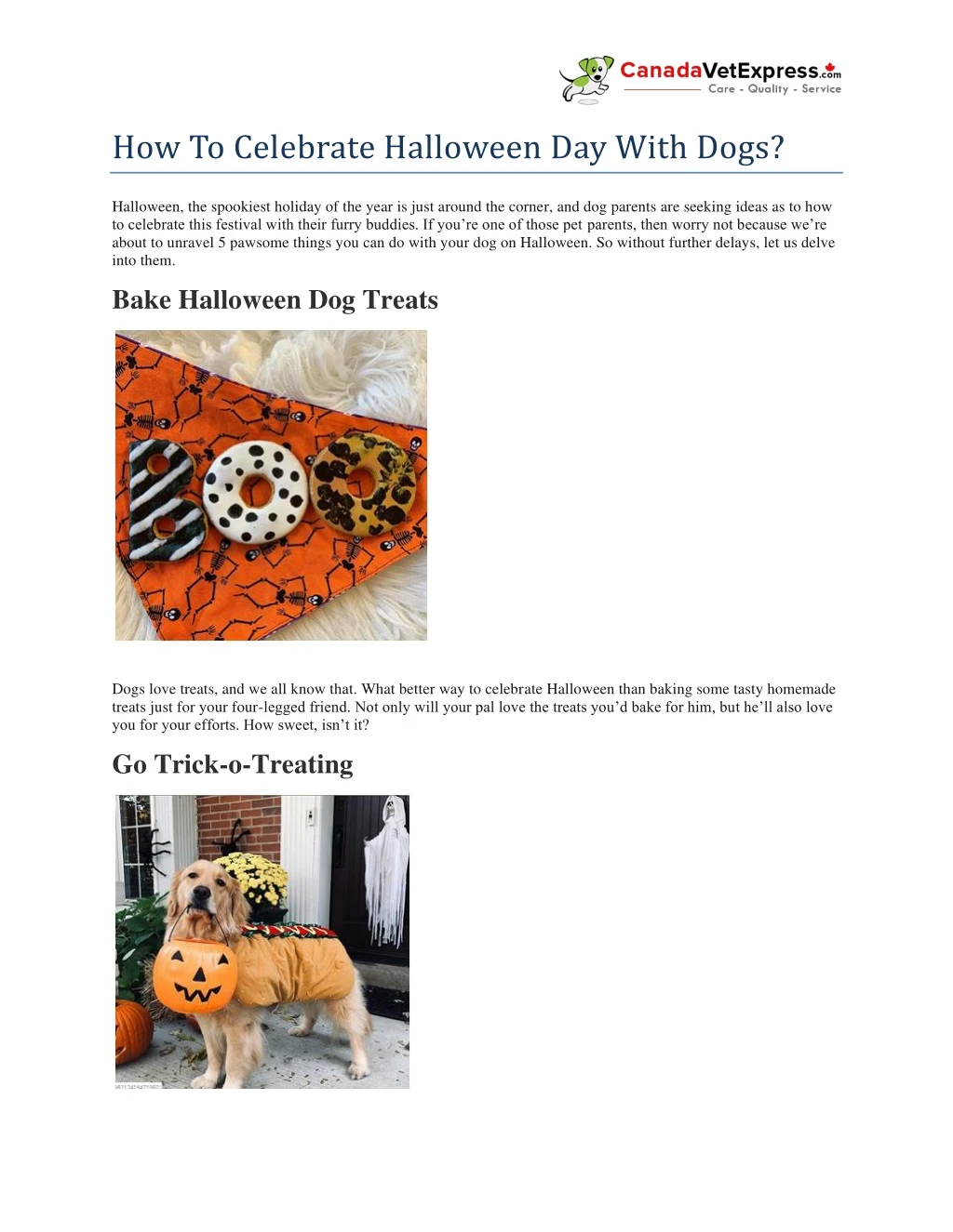 how to celebrate halloween day with dogs