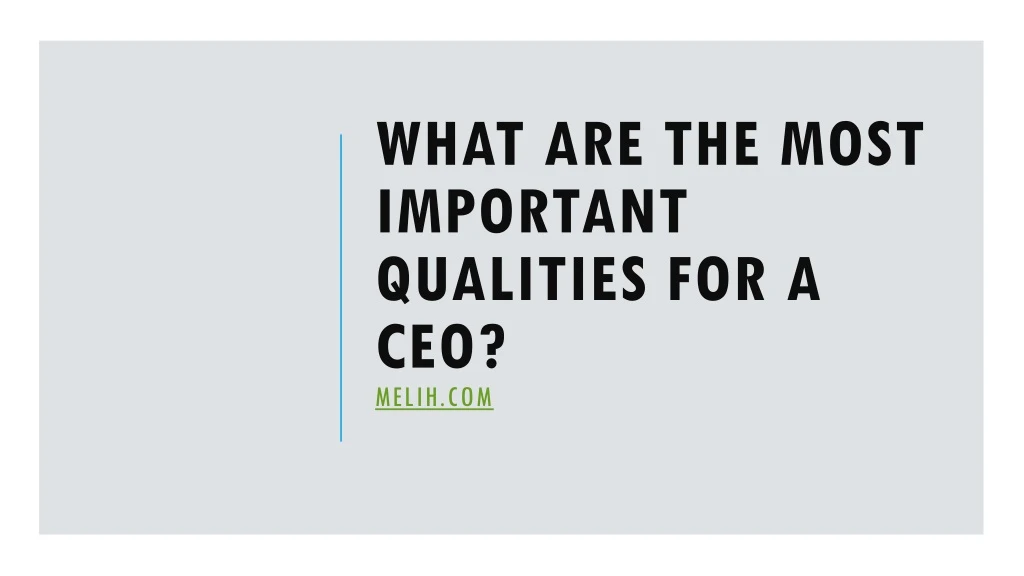 what are the most important qualities for a ceo melih com