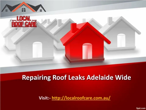 Repairing Roof Leaks Adelaide Wide