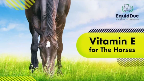 Vitamin E : Essential Nutrients for the Horses