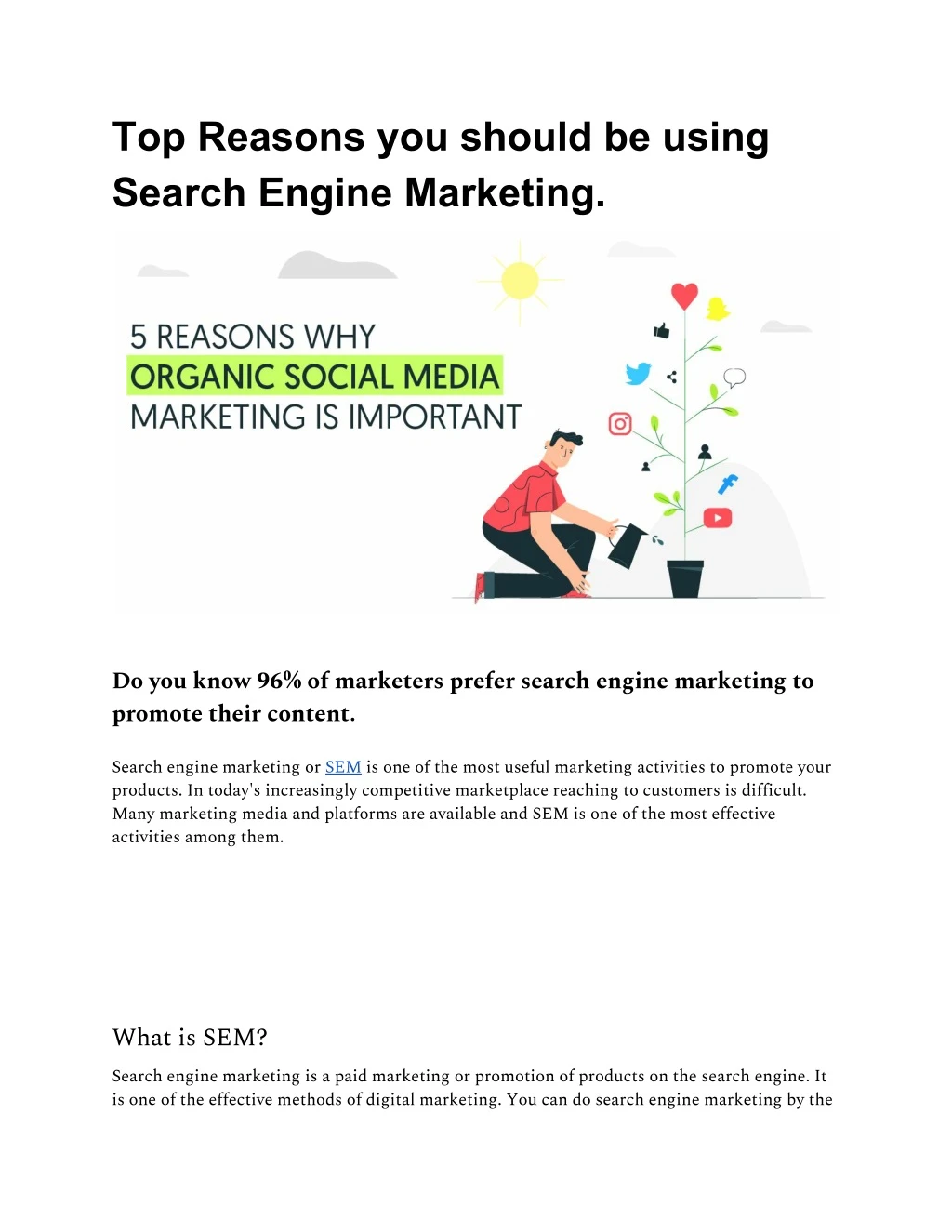 top reasons you should be using search engine