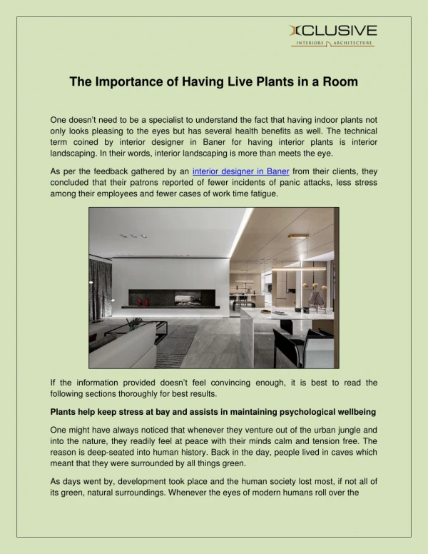 The Importance of Having Live Plants in a Room - Xclusive Interiors Pvt.Ltd