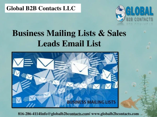 global b2b contacts llc