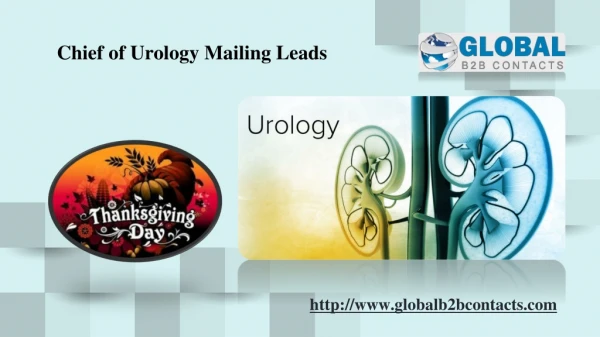 Chief of Urology Mailing Leads