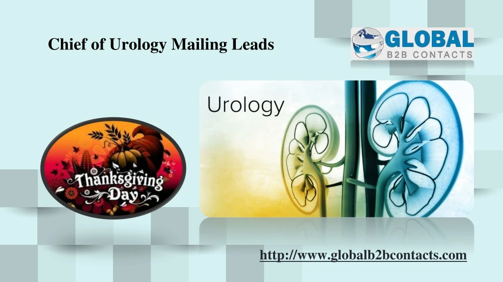 chief of urology mailing leads