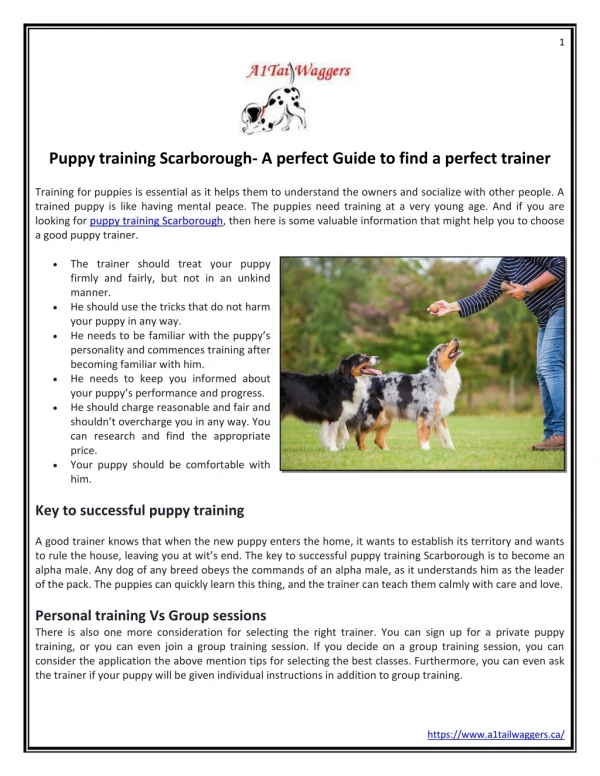 Puppy training Scarborough- A perfect Guide to find a perfect trainer