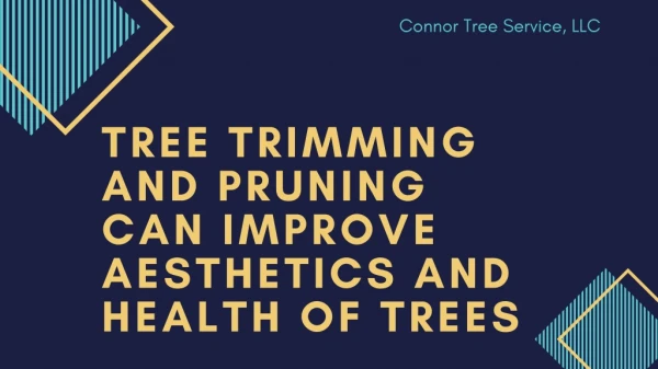 TREE TRIMMING AND PRUNING CAN IMPROVE AESTHETICS AND HEALTH OF TREES