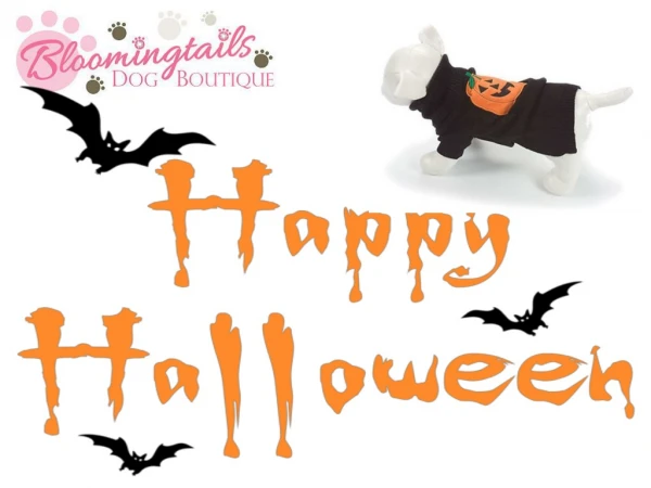 HALLOWEEN HOLIDAY SHOPPING - Bloomingtails Dog Boutique