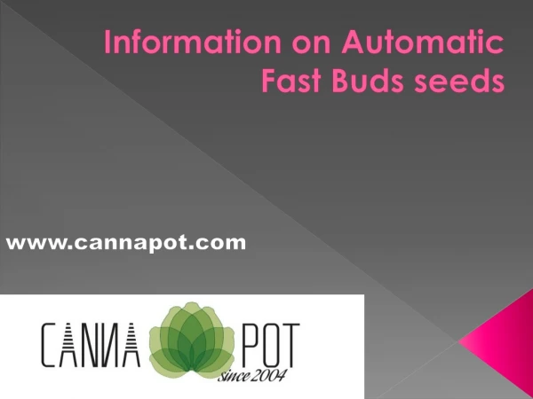 Information on Automatic Fast Buds seeds