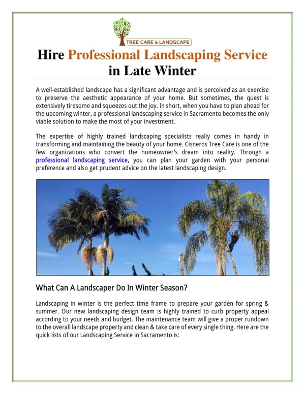 Hire Professional Landscaping Service in Late Winter