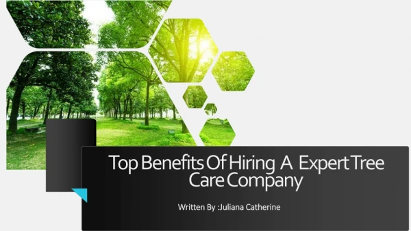 Top Benefits of Hiring An Expert Tree Service Company