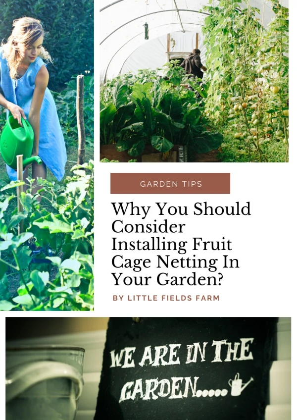 Why You Should Consider Installing Fruit Cage Netting In Your Garden?