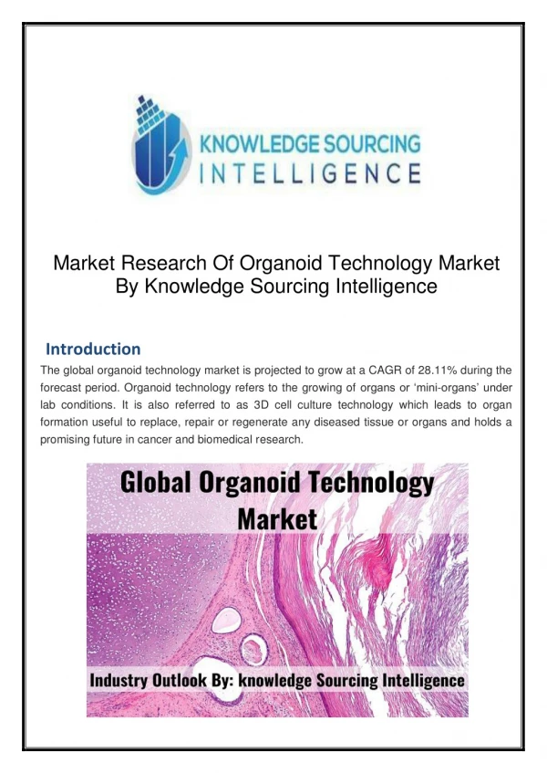 Organoid Technology Market Size, Share & Industry Report, 2019-2024