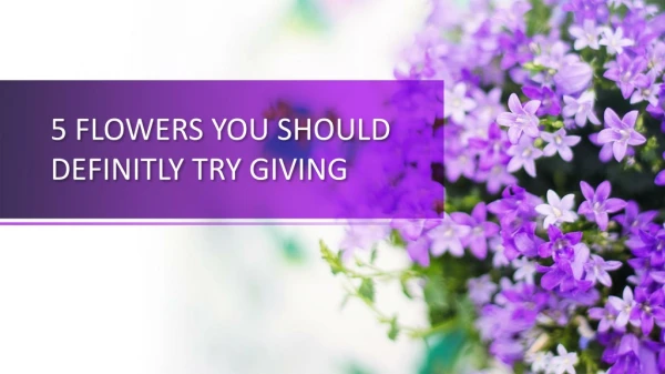 5 Flowers you should try giving