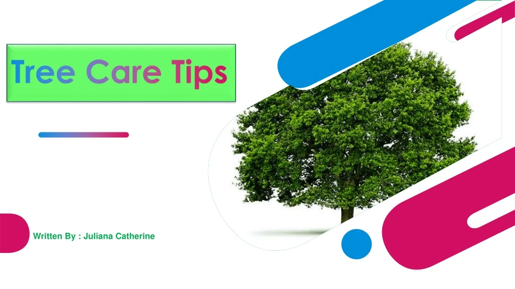 tree care tips