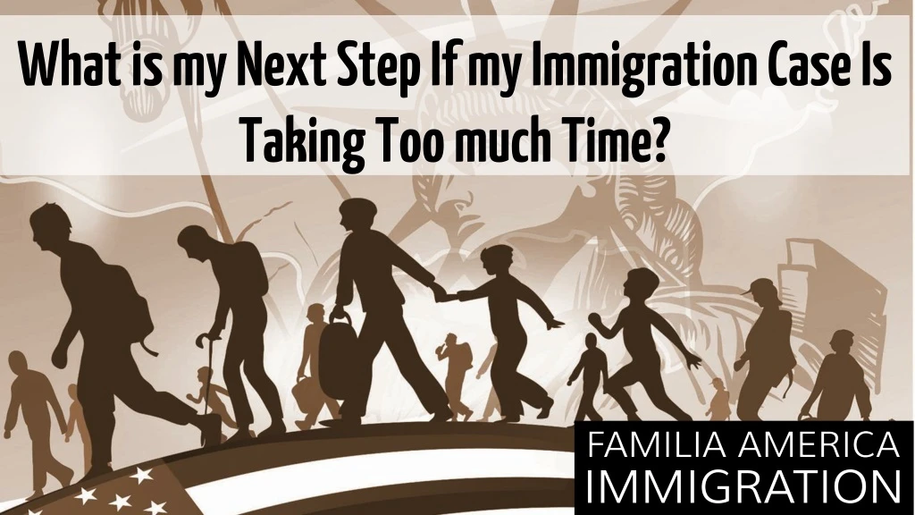 what is my next step if my immigration case