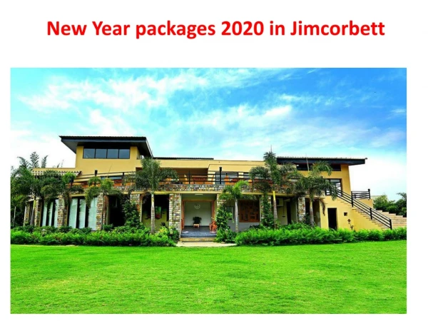 New Year Party 2020 in Jimcorbett | New Year Packages