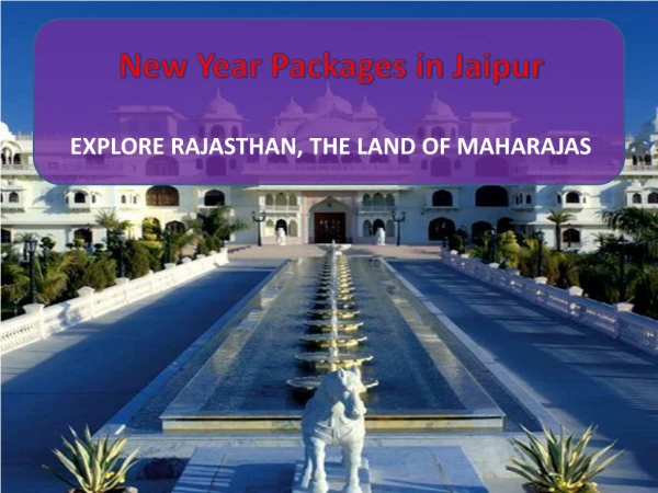 New Year Packages Jaipur 2020 | New Year Celebration