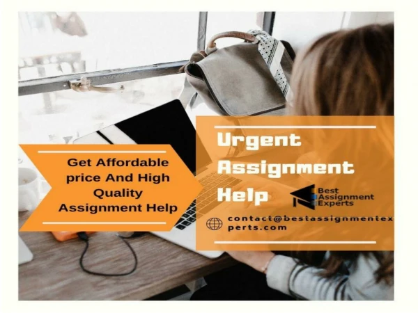 Urgent Assignment Help | Hassle free assignment help