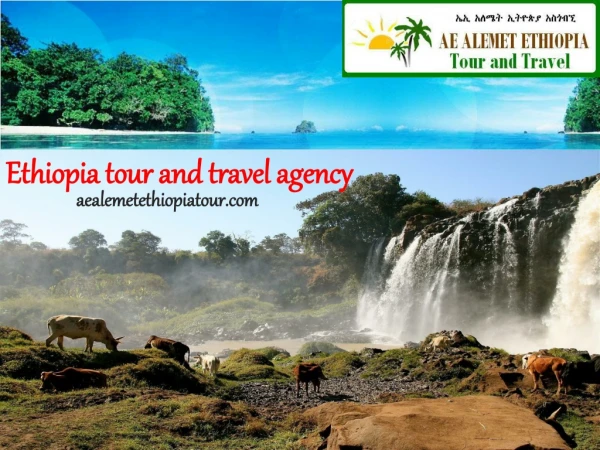 Ethiopia tour and travel agency