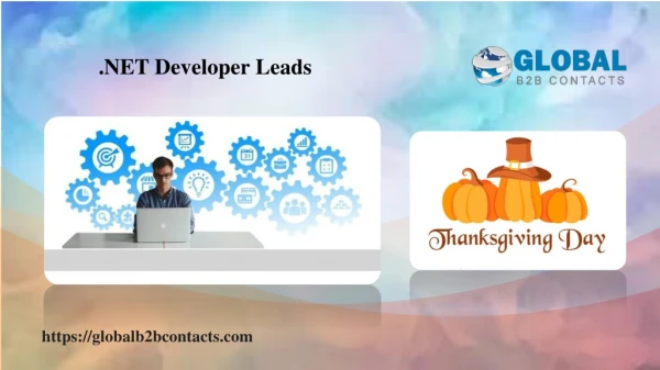 .NET Developer Leads
