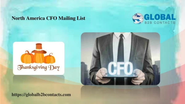North America CFO Mailing List