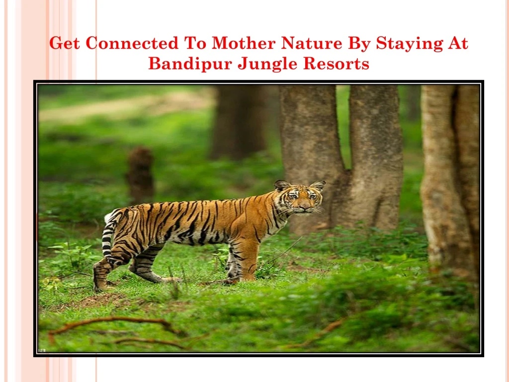 get connected to mother nature by staying