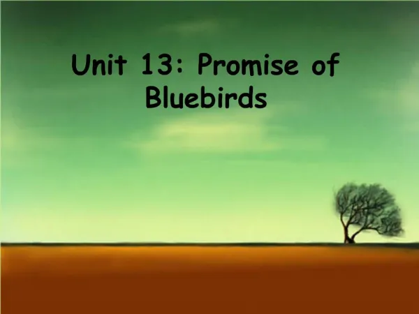 Unit 13: Promise of Bluebirds