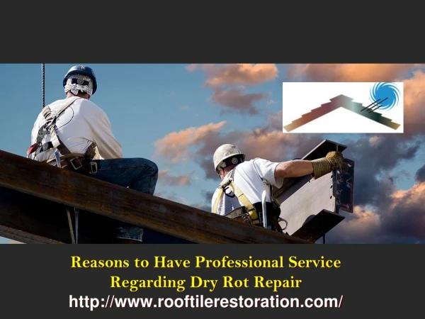 Reasons to Have Professional Service Regarding Dry Rot Repair