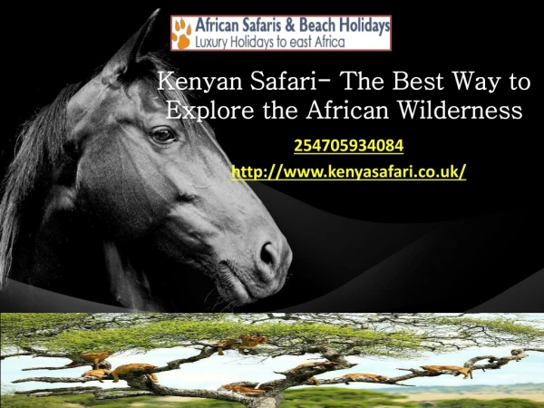 Kenyan Safari- The Best Way to Explore the African Wilderness