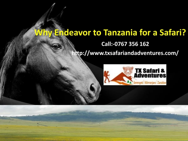 Why Endeavor to Tanzania for a Safari?