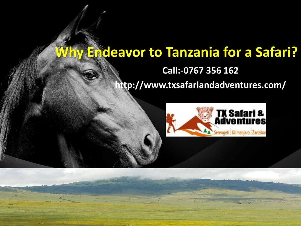 why endeavor to tanzania for a safari
