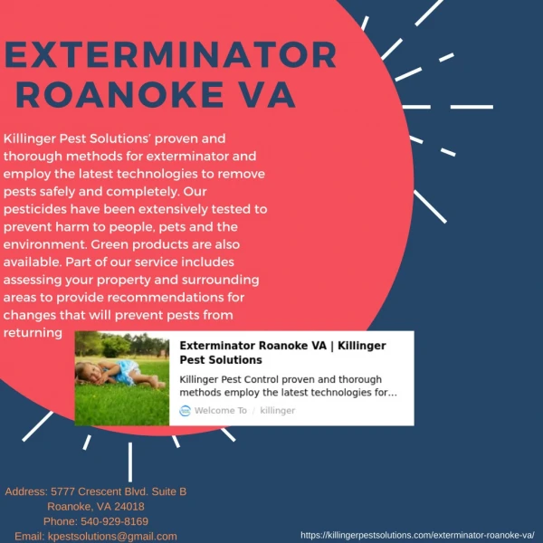 exterminator roanoke va