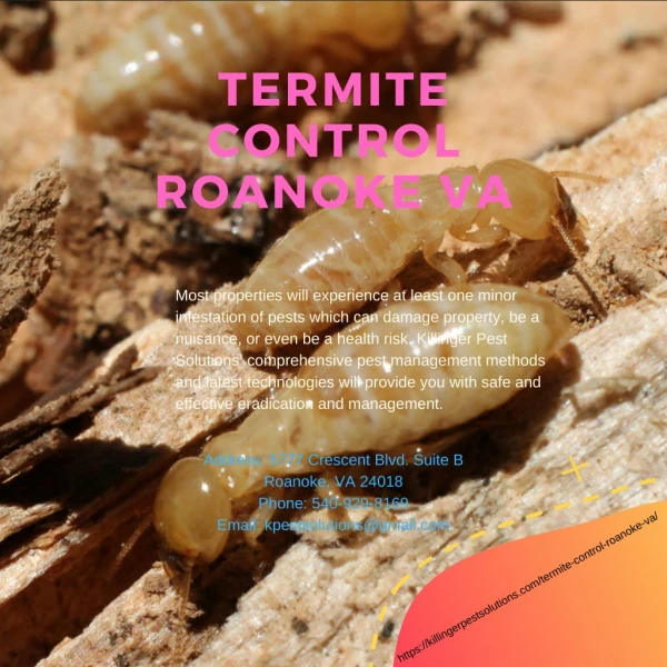 termite control roanoke va