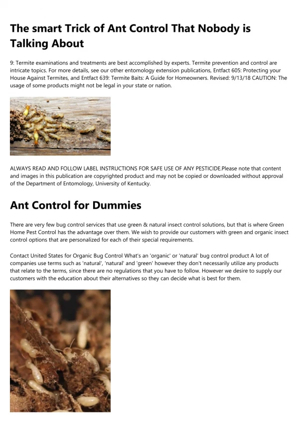 Ant Control Can Be Fun For Anyone