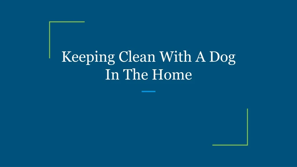 keeping clean with a dog in the home