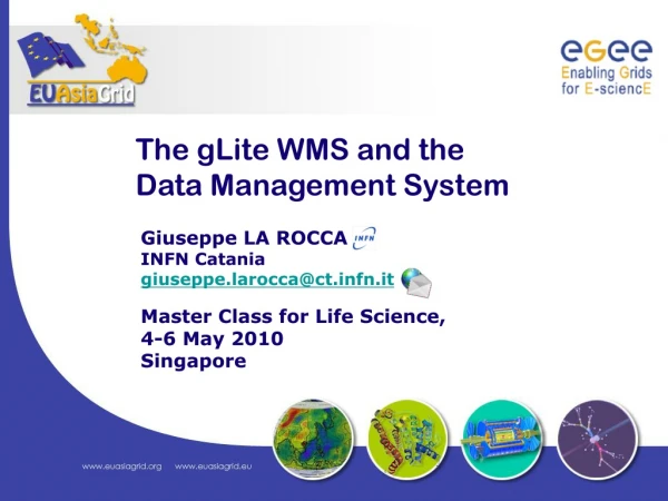 The gLite WMS and the Data Management System