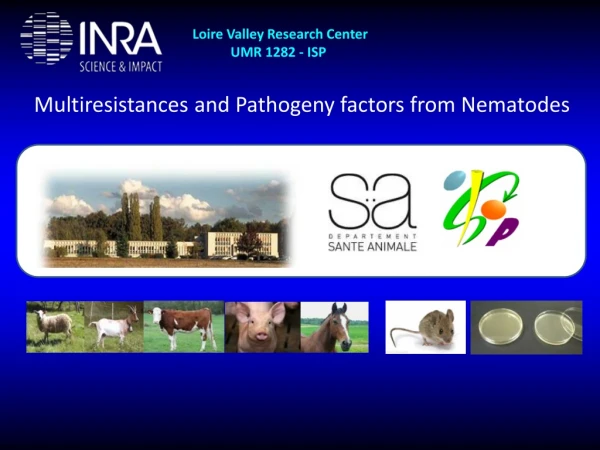 Multiresistances and Pathogeny factors from Nematodes
