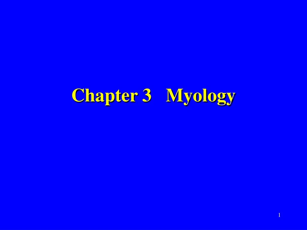 chapter 3 myology