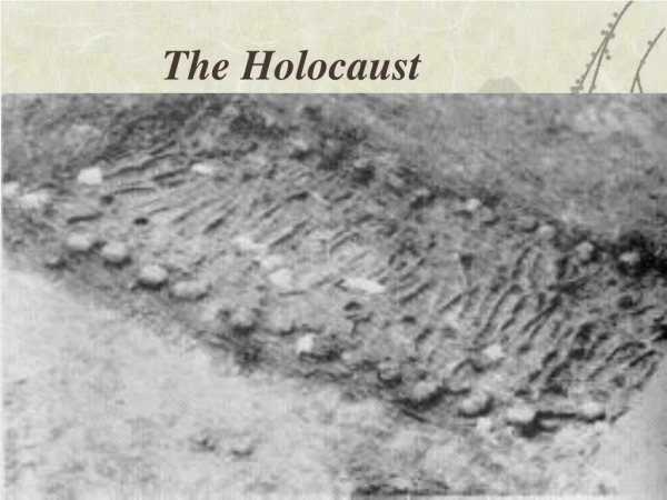 The Holocaust